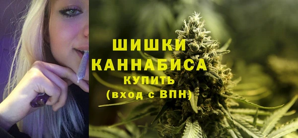 PSILOCYBIN Медногорск