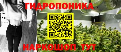 a pvp Канаш