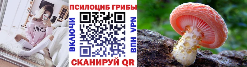 где купить наркоту  Партизанск  Галлюциногенные грибы Magic Shrooms 