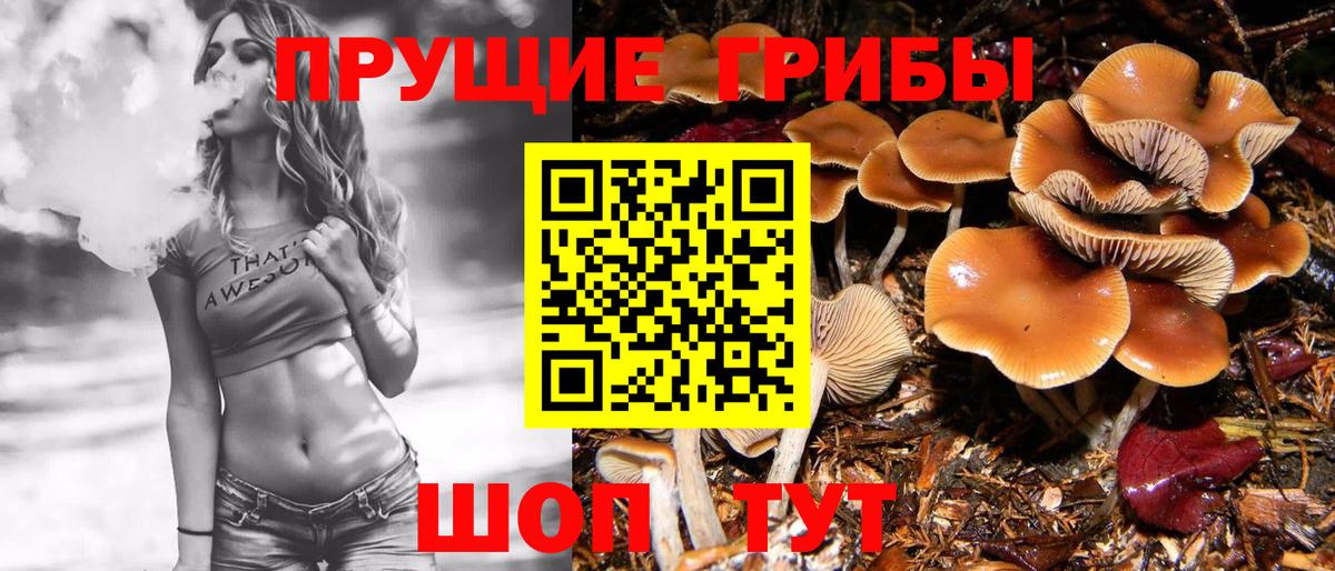 Галлюциногенные грибы Magic Shrooms  Вход с VPN  Партизанск 