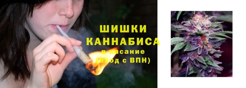 Каннабис OG Kush  Партизанск 